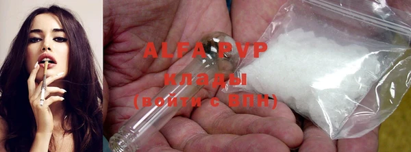 индика Гусиноозёрск