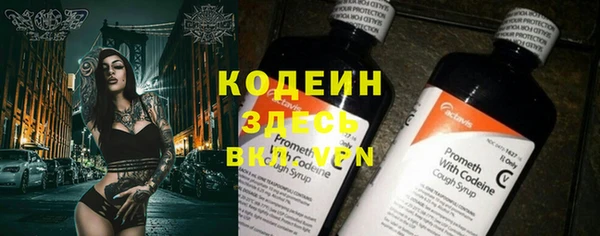 дживик Гусь-Хрустальный