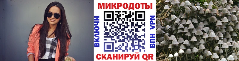 Галлюциногенные грибы Psilocybine cubensis  хочу   Инсар 